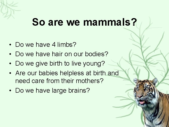 So are we mammals? • • Do we have 4 limbs? Do we have