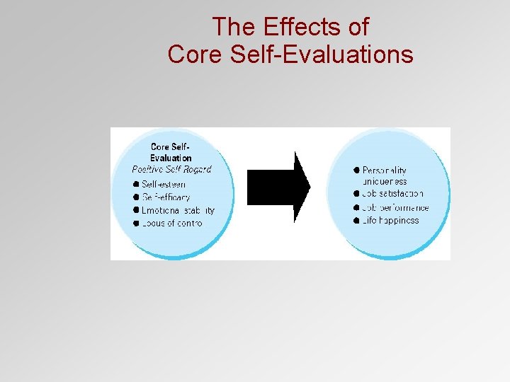 The Effects of Core Self-Evaluations 