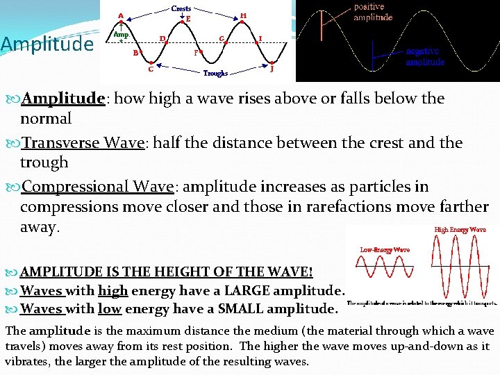 Amplitude: how high a wave rises above or falls below the normal Transverse Wave: