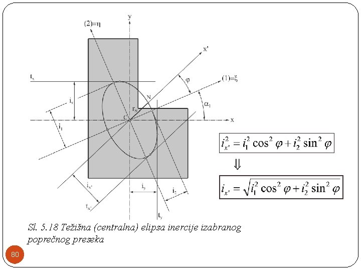 Sl. 5. 18 Težišna (centralna) elipsa inercije izabranog poprečnog preseka 80 