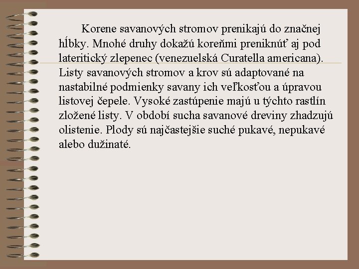 Korene savanových stromov prenikajú do značnej hĺbky. Mnohé druhy dokažú koreňmi preniknúť aj pod