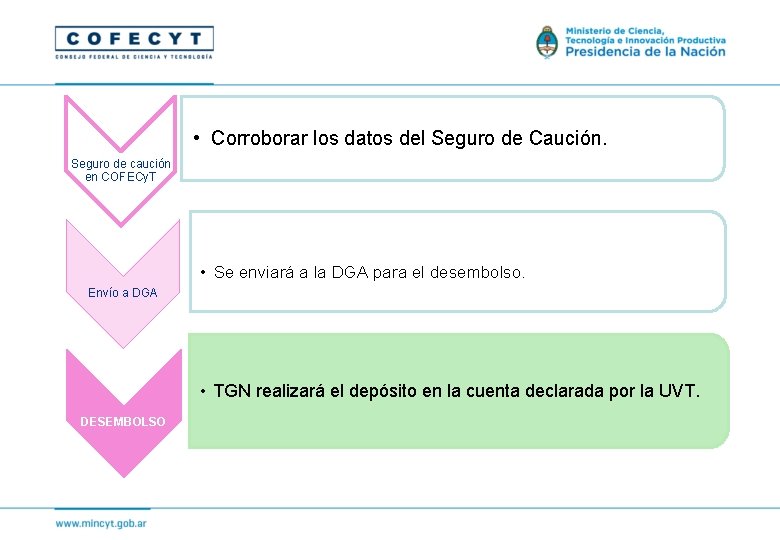  • Corroborar los datos del Seguro de Caución. Seguro de caución en COFECy.