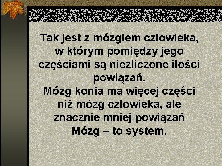 Tak jest z mózgiem człowieka, w którym pomiędzy jego częściami są niezliczone ilości powiązań.