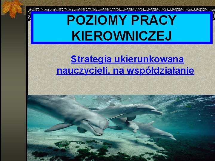 POZIOMY PRACY KIEROWNICZEJ Strategia ukierunkowana nauczycieli, na współdziałanie 