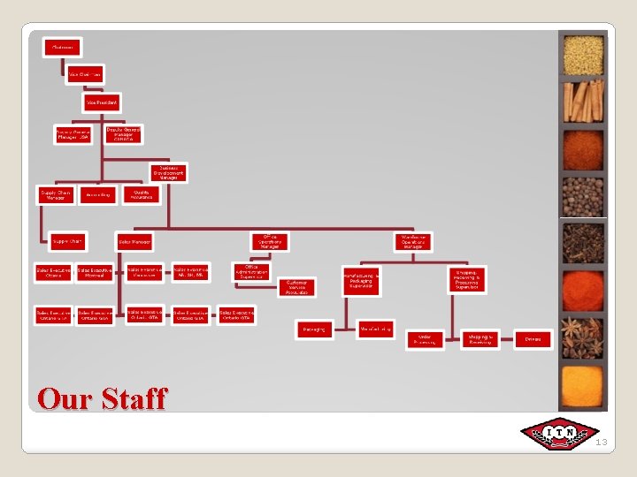 Our Staff 13 