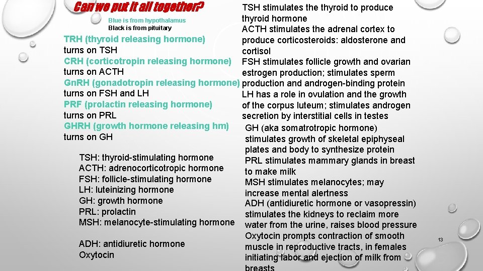 Can we put it all together? TSH stimulates the thyroid to produce thyroid hormone Can we put it all together? TSH stimulates the thyroid to produce thyroid hormone