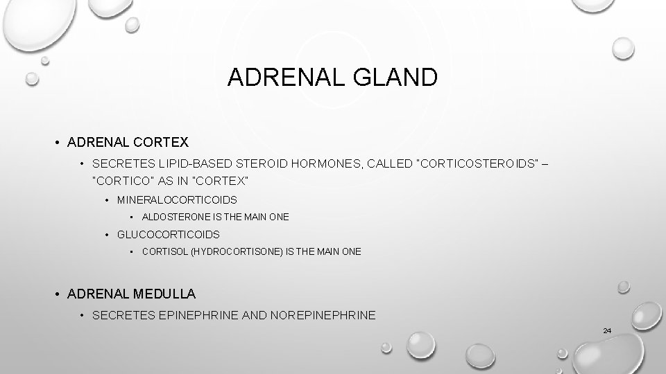 ADRENAL GLAND • ADRENAL CORTEX • SECRETES LIPID-BASED STEROID HORMONES, CALLED “CORTICOSTEROIDS” – “CORTICO” ADRENAL GLAND • ADRENAL CORTEX • SECRETES LIPID-BASED STEROID HORMONES, CALLED “CORTICOSTEROIDS” – “CORTICO”