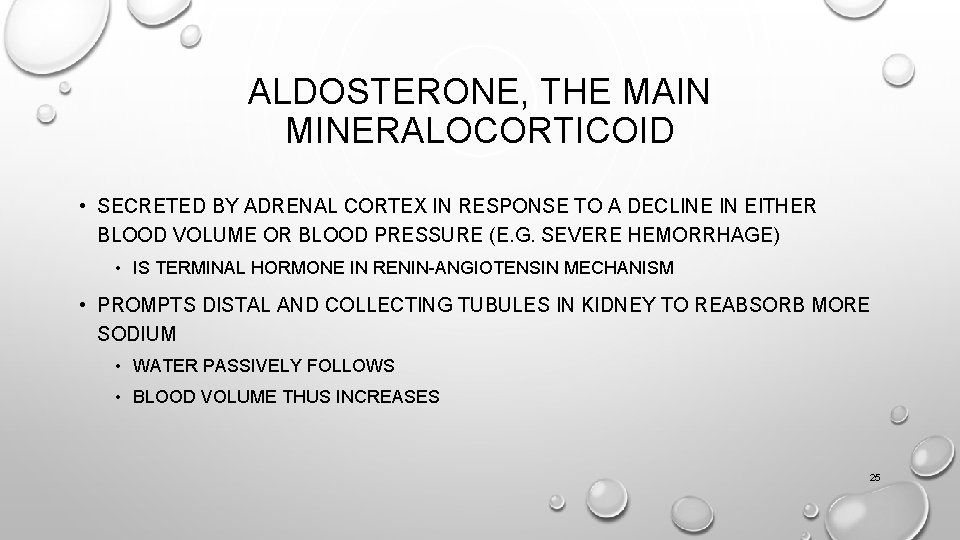 ALDOSTERONE, THE MAIN MINERALOCORTICOID • SECRETED BY ADRENAL CORTEX IN RESPONSE TO A DECLINE