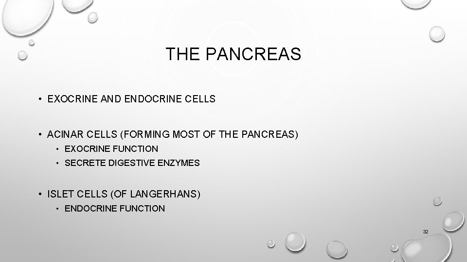 THE PANCREAS • EXOCRINE AND ENDOCRINE CELLS • ACINAR CELLS (FORMING MOST OF THE THE PANCREAS • EXOCRINE AND ENDOCRINE CELLS • ACINAR CELLS (FORMING MOST OF THE