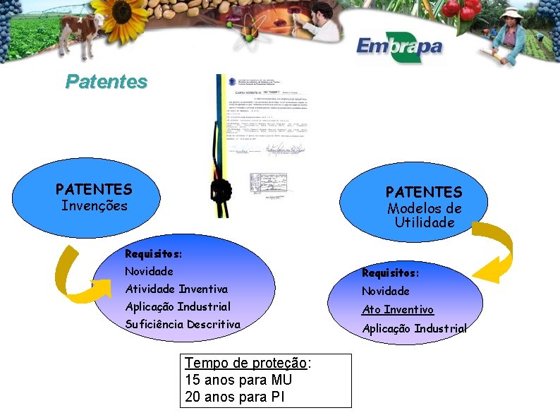 Patentes PATENTES Invenções PATENTES Modelos de Utilidade Requisitos: Novidade Requisitos: Atividade Inventiva Novidade Aplicação