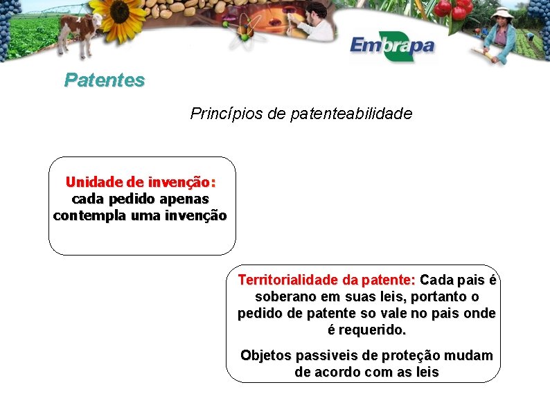 Patentes Princípios de patenteabilidade Unidade de invenção: cada pedido apenas contempla uma invenção Territorialidade