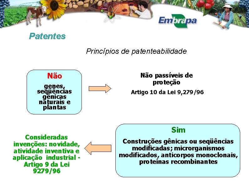 Patentes Princípios de patenteabilidade Não genes, seqüências gênicas naturais e plantas Consideradas invenções: novidade,