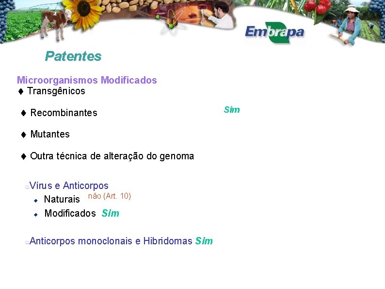 Patentes Microorganismos Modificados Transgênicos Recombinantes Mutantes Outra técnica de alteração do genoma Vírus e