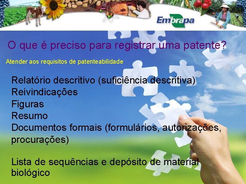 O que é preciso para registrar uma patente? Atender aos requisitos de patenteabilidade Relatório