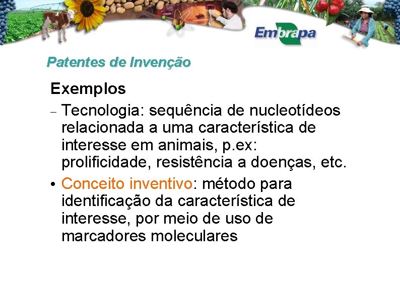 Patentes de Invenção Exemplos Tecnologia: sequência de nucleotídeos relacionada a uma característica de interesse