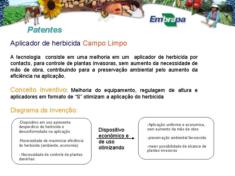 Patentes Aplicador de herbicida Campo Limpo A tecnologia consiste em uma melhoria em um