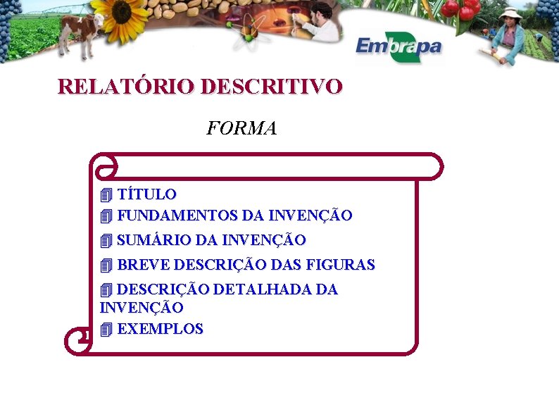 RELATÓRIO DESCRITIVO FORMA TÍTULO FUNDAMENTOS DA INVENÇÃO SUMÁRIO DA INVENÇÃO BREVE DESCRIÇÃO DAS FIGURAS