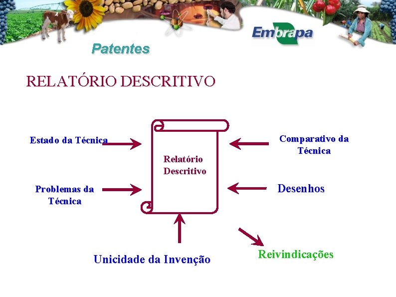 Patentes RELATÓRIO DESCRITIVO Estado da Técnica Relatório Descritivo Problemas da Técnica Unicidade da Invenção