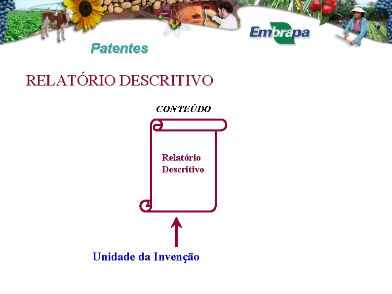 Patentes RELATÓRIO DESCRITIVO CONTEÚDO Relatório Descritivo Unidade da Invenção 