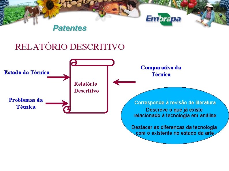 Patentes RELATÓRIO DESCRITIVO Comparativo da Técnica Estado da Técnica Relatório Descritivo Problemas da Técnica