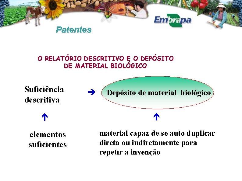 Patentes O RELATÓRIO DESCRITIVO E O DEPÓSITO DE MATERIAL BIOLÓGICO elementos suficientes Depósito de