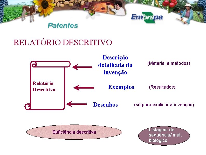 Patentes RELATÓRIO DESCRITIVO Descrição detalhada da invenção Relatório Descritivo (Material e métodos) Exemplos Desenhos