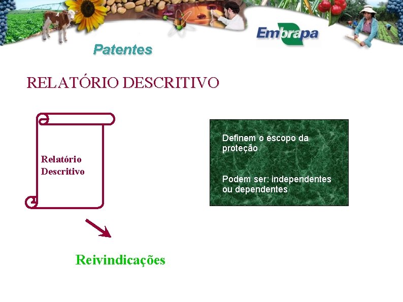 Patentes RELATÓRIO DESCRITIVO Definem o escopo da proteção Relatório Descritivo Reivindicações Podem ser: independentes