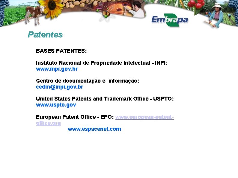 Patentes BASES PATENTES: Instituto Nacional de Propriedade Intelectual - INPI: www. inpi. gov. br