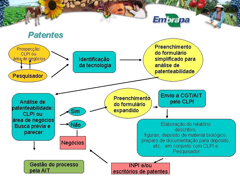 Patentes Prospecção: CLPI ou área de negócios Preenchimento do formulário simplificado para análise de