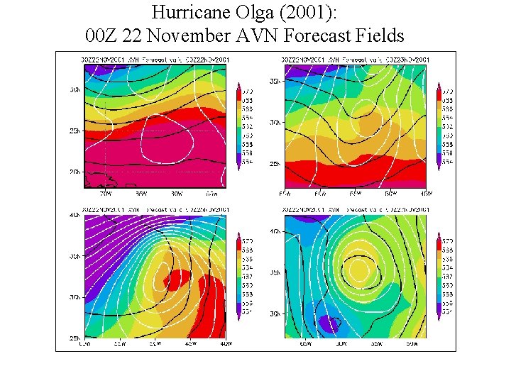 Hurricane Olga (2001): 00 Z 22 November AVN Forecast Fields 