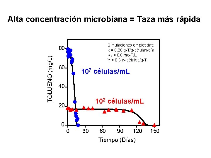 Principles Applications Of Btex Bioremediation Pedro J J
