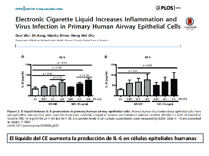 El líquido del CE aumenta la producción de IL-6 en células epiteliales humanas 