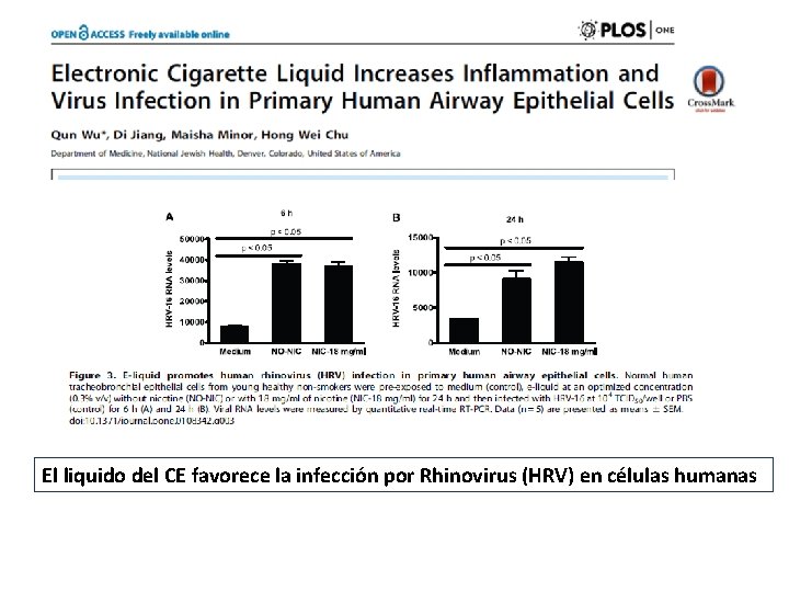 El liquido del CE favorece la infección por Rhinovirus (HRV) en células humanas 