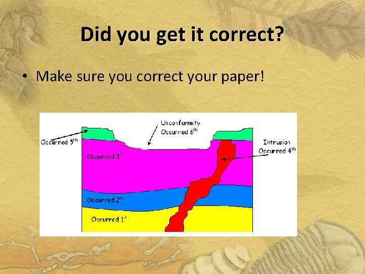 Did you get it correct? • Make sure you correct your paper! 