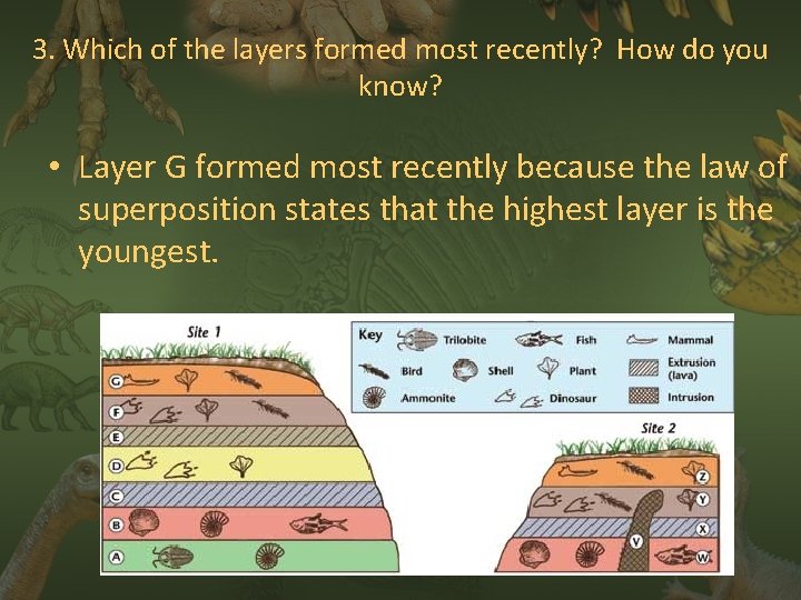 3. Which of the layers formed most recently? How do you know? • Layer