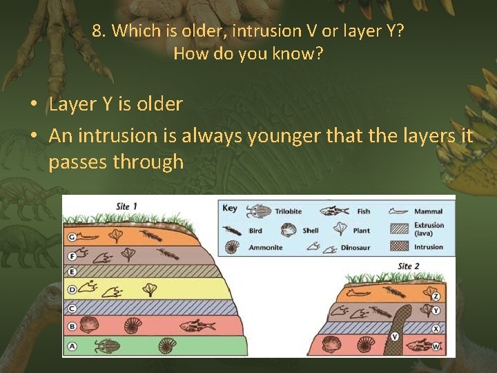 8. Which is older, intrusion V or layer Y? How do you know? •