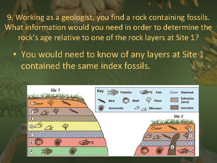 9. Working as a geologist, you find a rock containing fossils. What information would