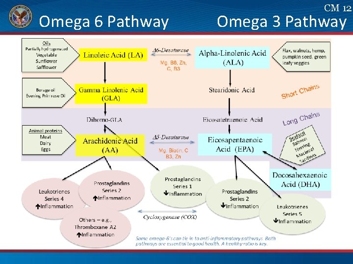 CM 12 Omega 6 Pathway Omega 3 Pathway 