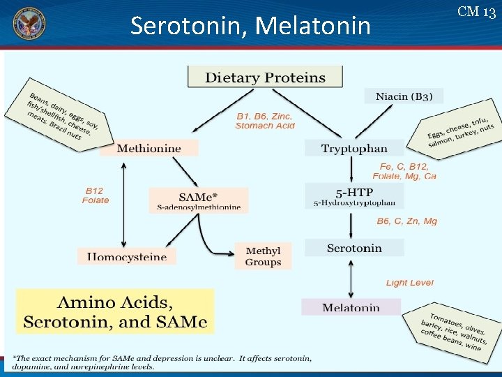 Serotonin, Melatonin CM 13 