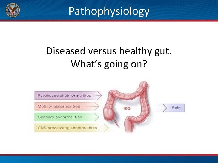 Pathophysiology Diseased versus healthy gut. What’s going on? 