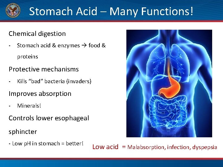 Stomach Acid – Many Functions! Chemical digestion - Stomach acid & enzymes food &