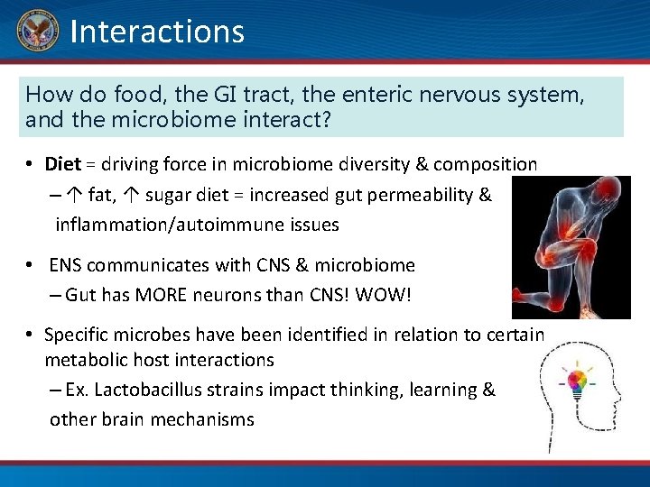 Interactions How do food, the GI tract, the enteric nervous system, and the microbiome