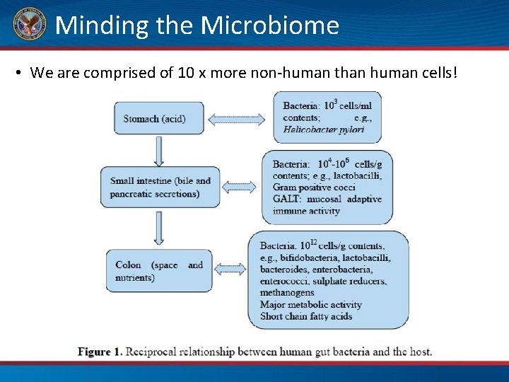Minding the Microbiome • We are comprised of 10 x more non-human than human