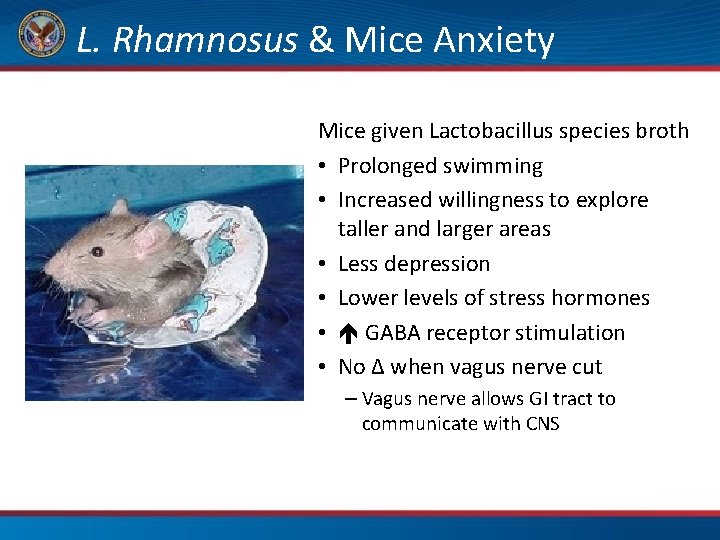 L. Rhamnosus & Mice Anxiety Add Subtitle Mice given Lactobacillus species broth • Prolonged