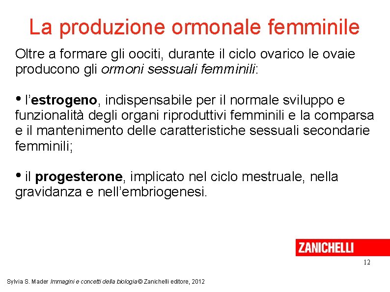 La produzione ormonale femminile Oltre a formare gli oociti, durante il ciclo ovarico le