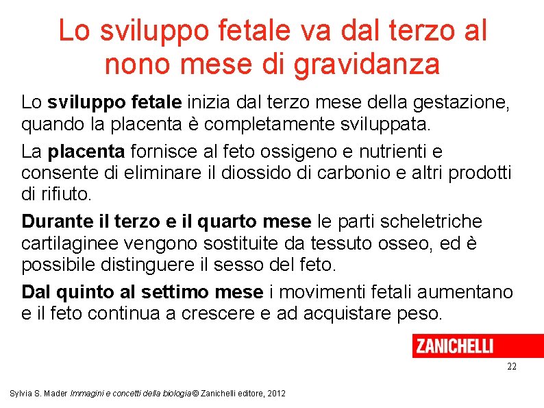 Lo sviluppo fetale va dal terzo al nono mese di gravidanza Lo sviluppo fetale