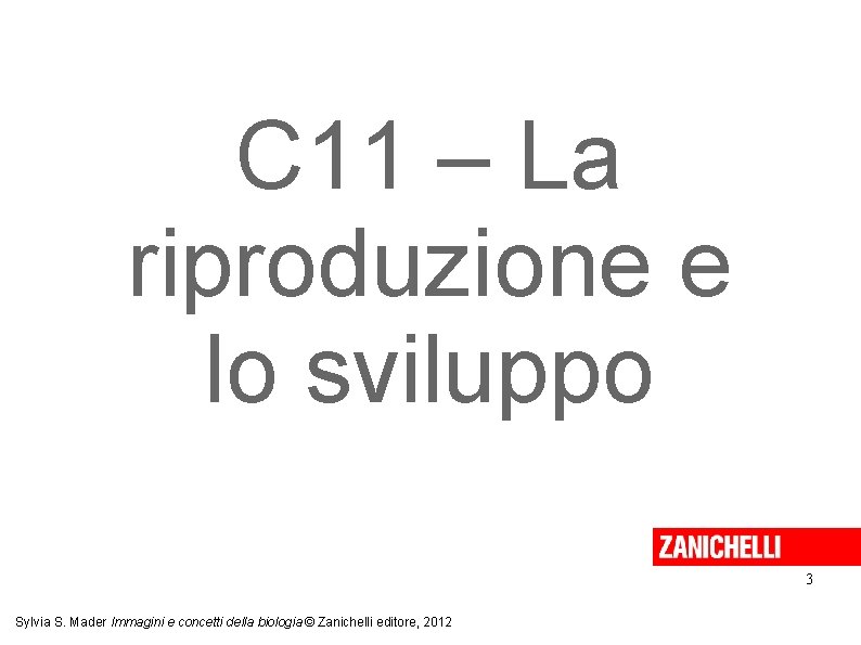 C 11 – La riproduzione e lo sviluppo 3 Sylvia S. Mader Immagini e