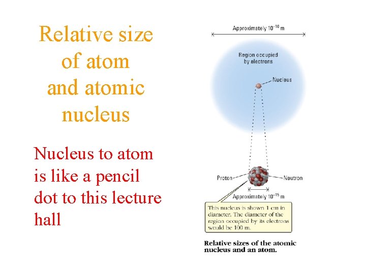 Relative size of atom and atomic nucleus Nucleus to atom is like a pencil