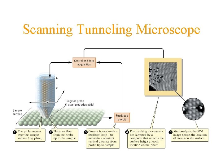 Scanning Tunneling Microscope 