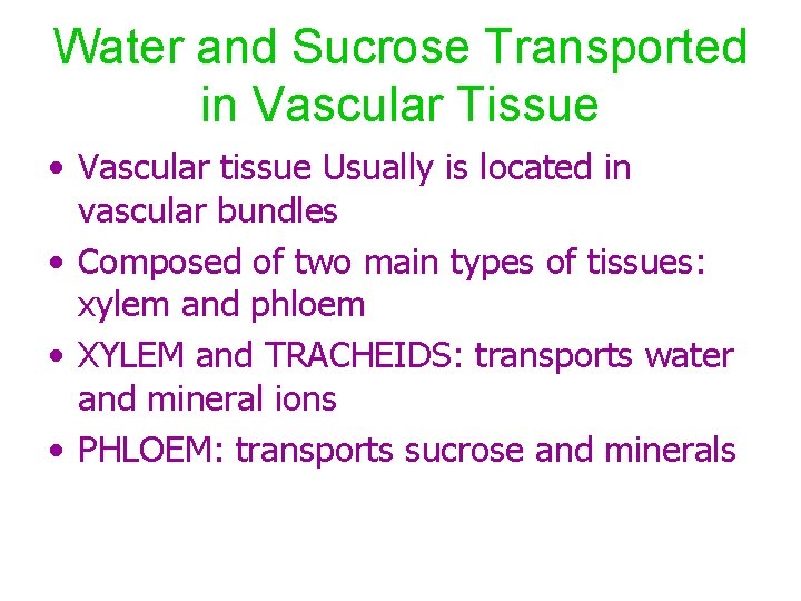 Water and Sucrose Transported in Vascular Tissue • Vascular tissue Usually is located in